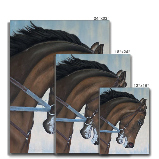 Morning gallop: Stretched canvas of a thoroughbred in training