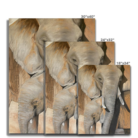 Different sizes of stretched canvases showing an elephant cow and calf after a mud bath