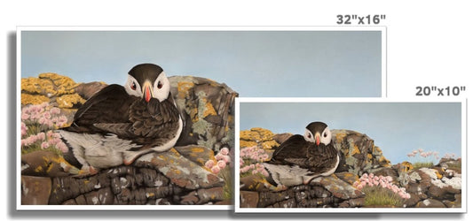 "Puffin on the rocks" : an open edition print