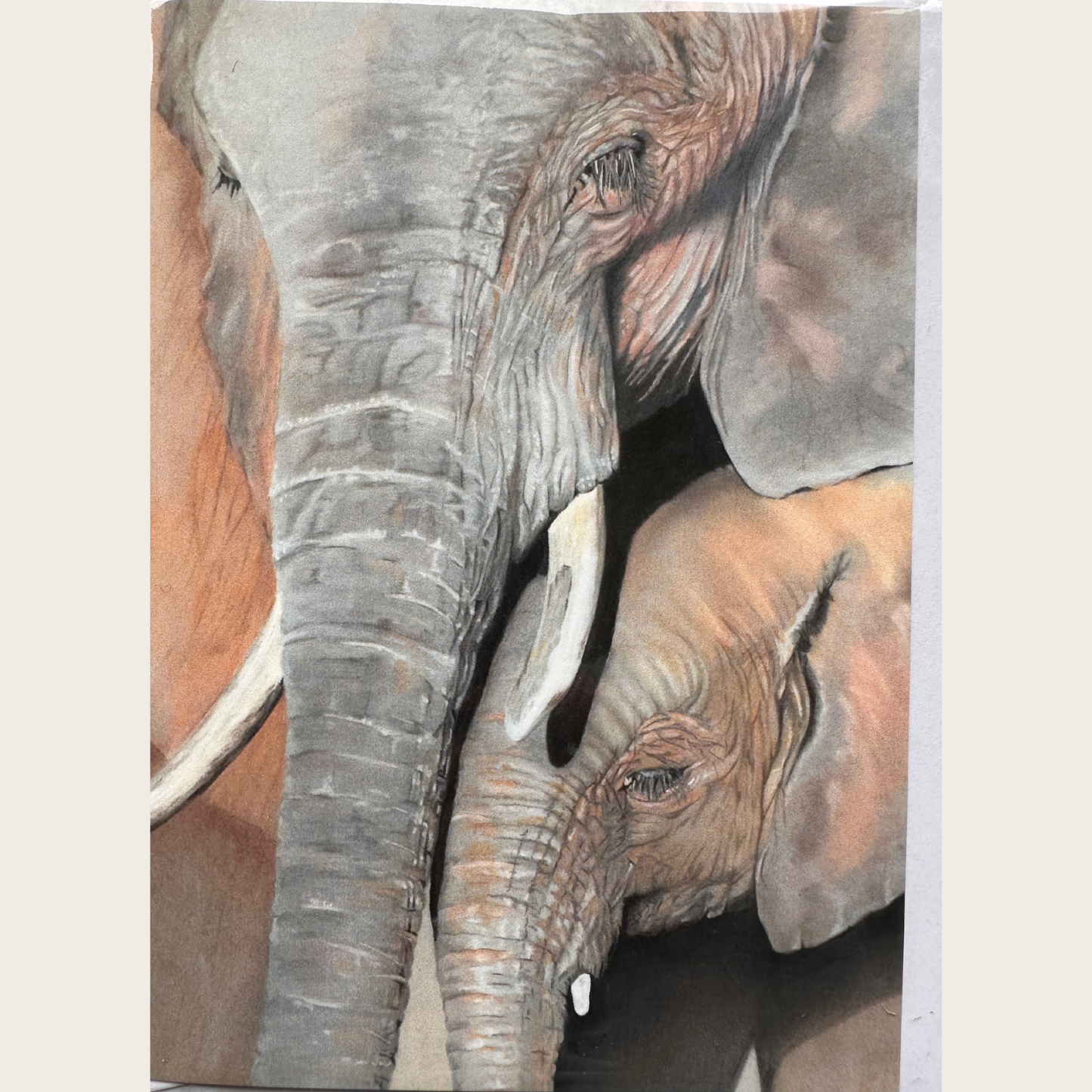Elephant Cow and Calf - Greetings card