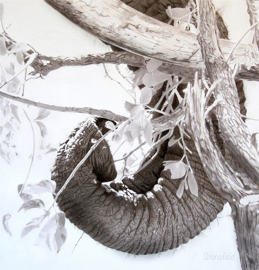 Close-up of a large, textured elephant's tusk and trunk amidst branches and leaves.