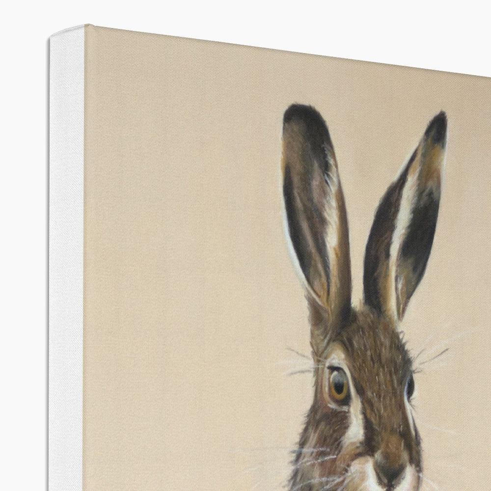 March hare: a stretched canvas of a European or brown hare