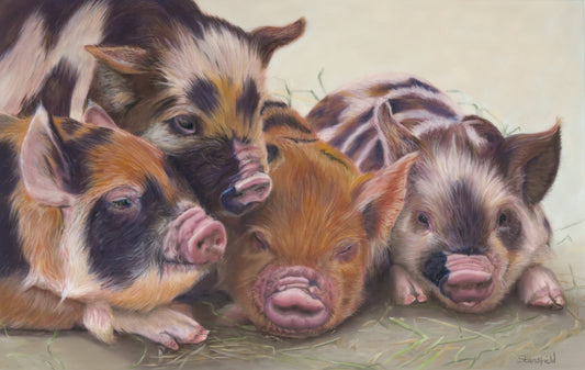 Illustration of four piglets on a textured surface
