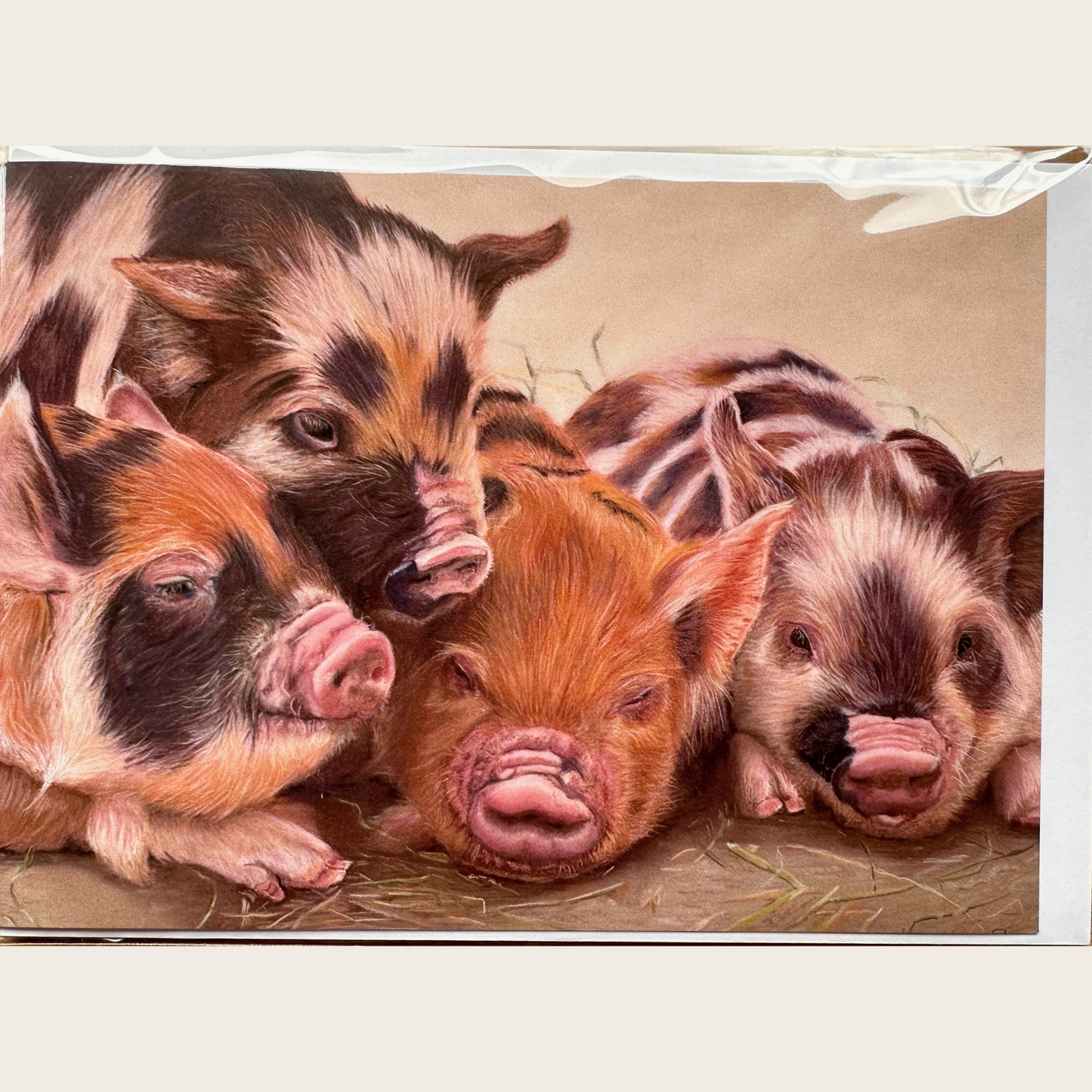 Four Little Piggies: Greetings card