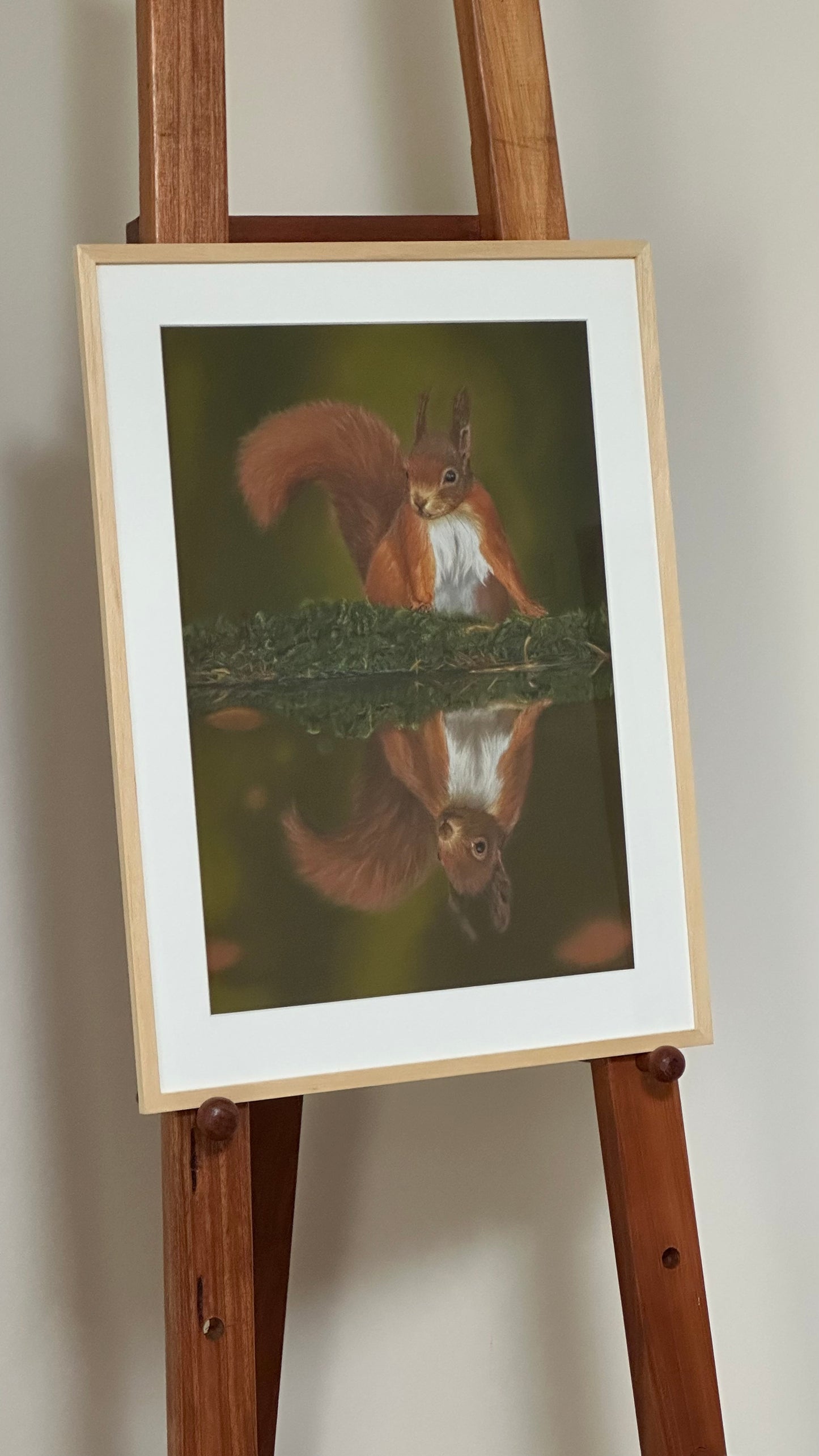 Framed picture of a red squirrel and reflection on an easel against a plain wall