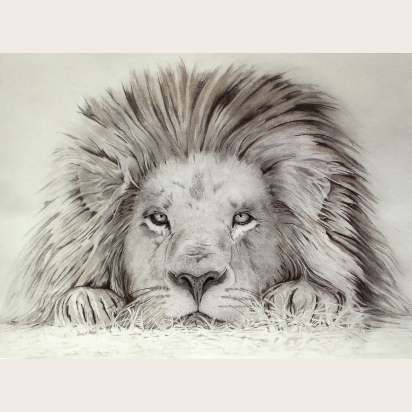 Lion - I See You: Greetings card