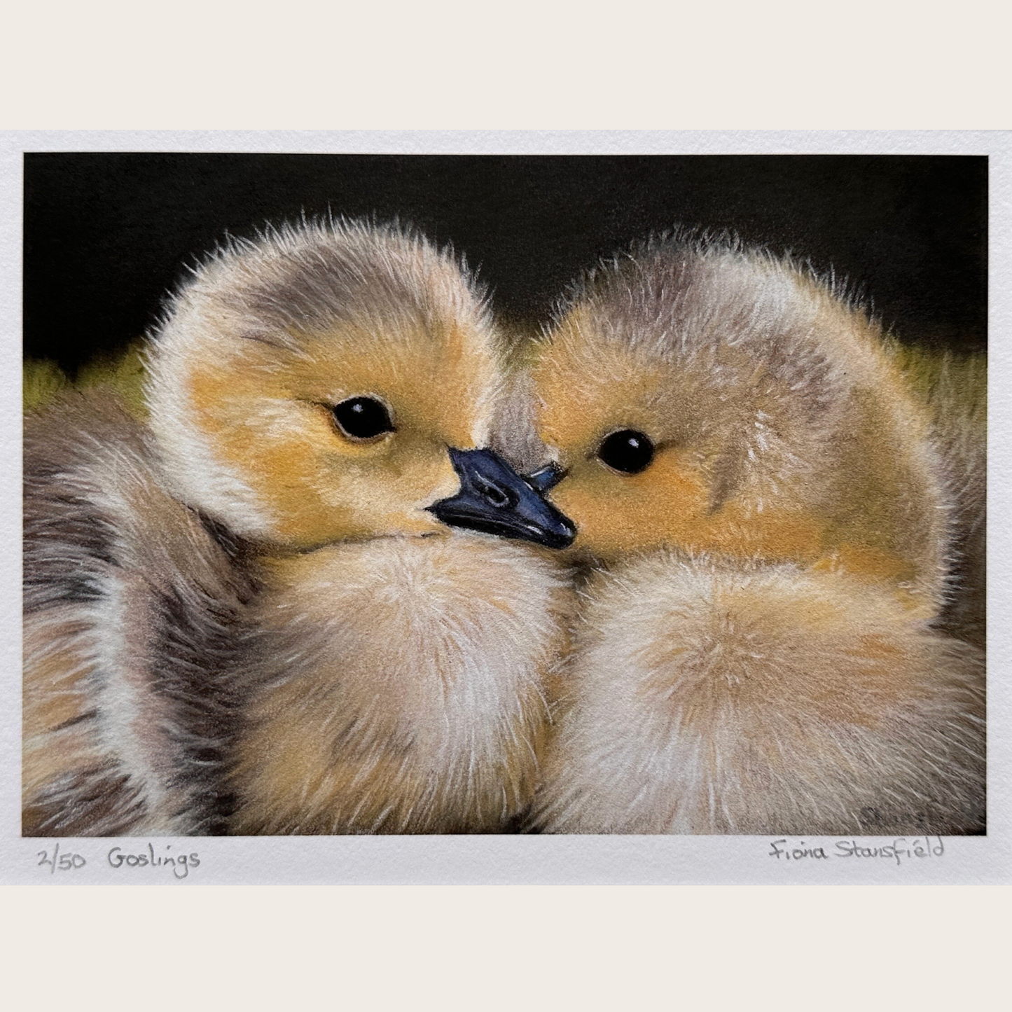 This is a limited edition print run of 50, depicting these cute and fluffy goslings.
