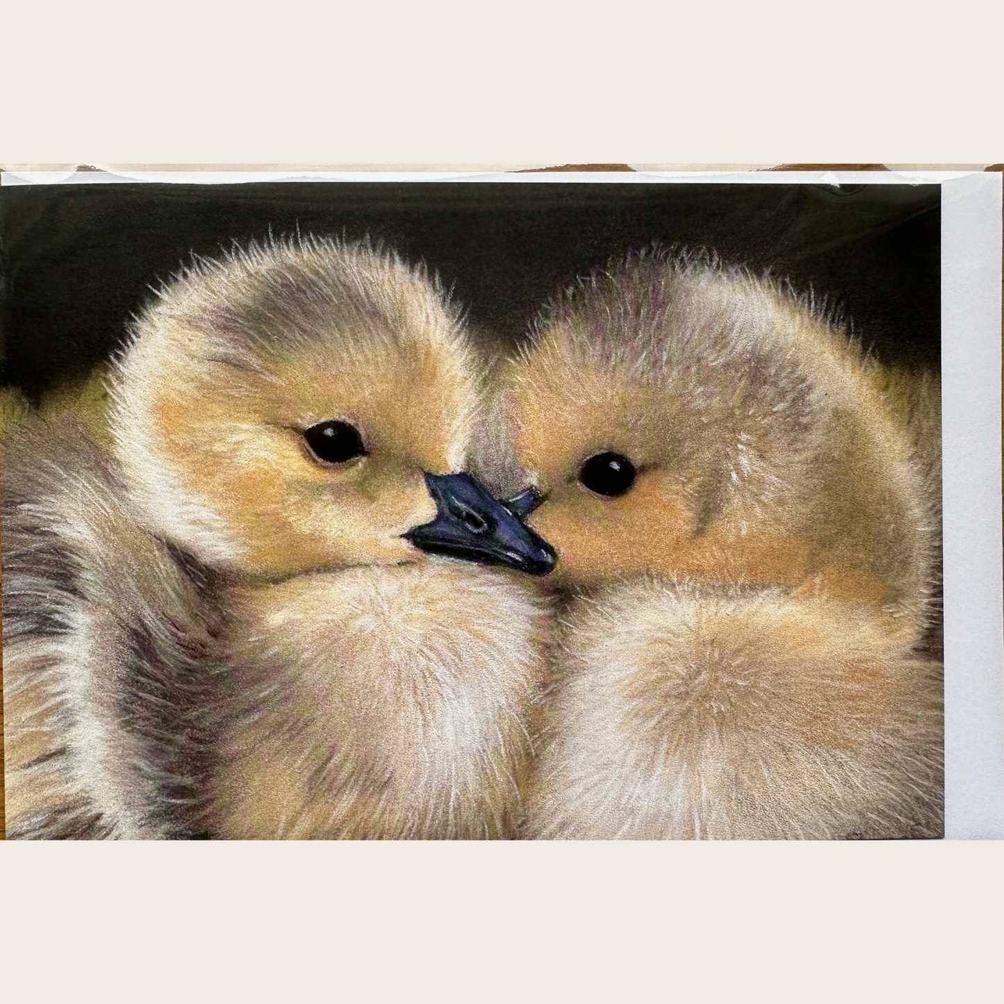 Goslings: Greetings card