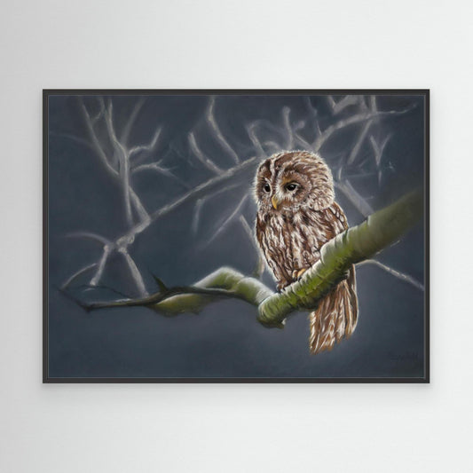 Moonlit tawny owl (g)