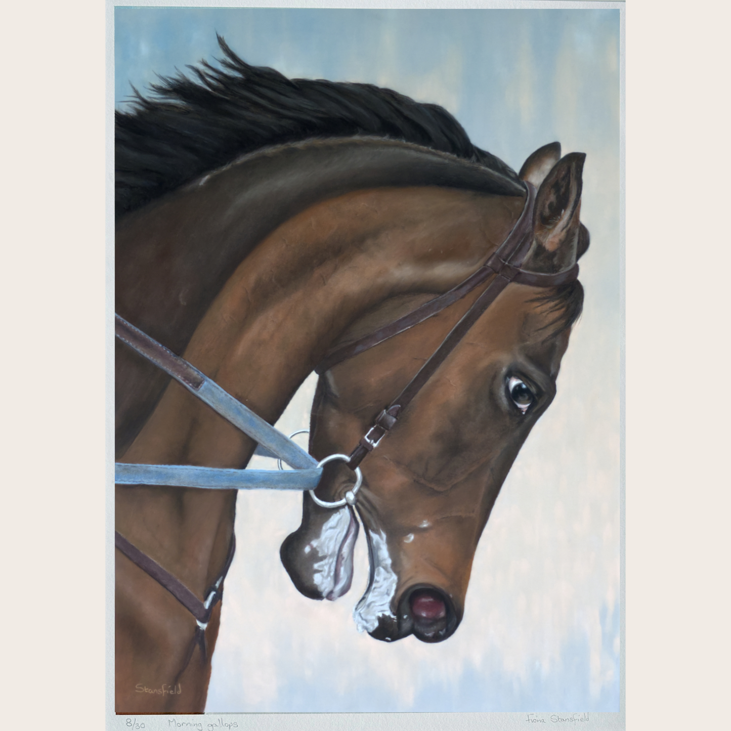 Limited edition print of a galloping horse by Fiona Stansfield Fine Art