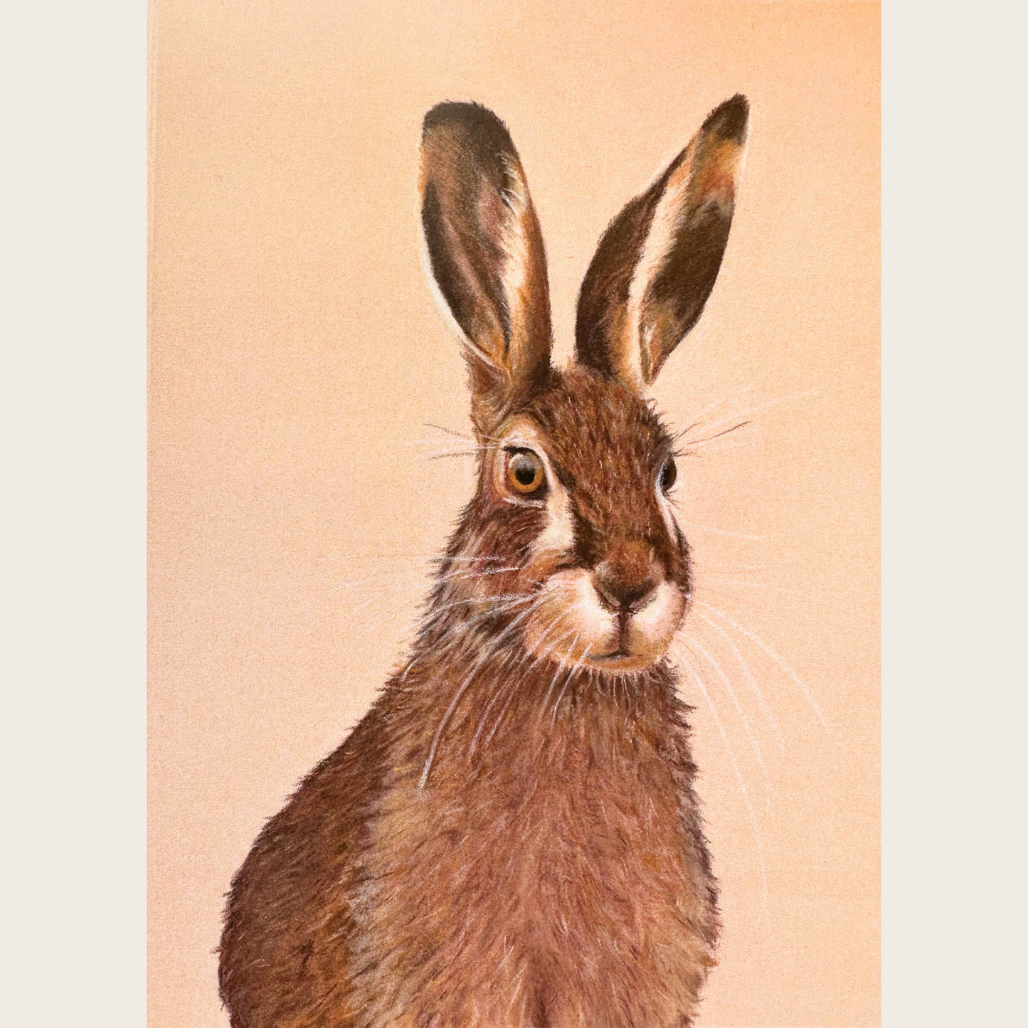 March hare - Greetings card