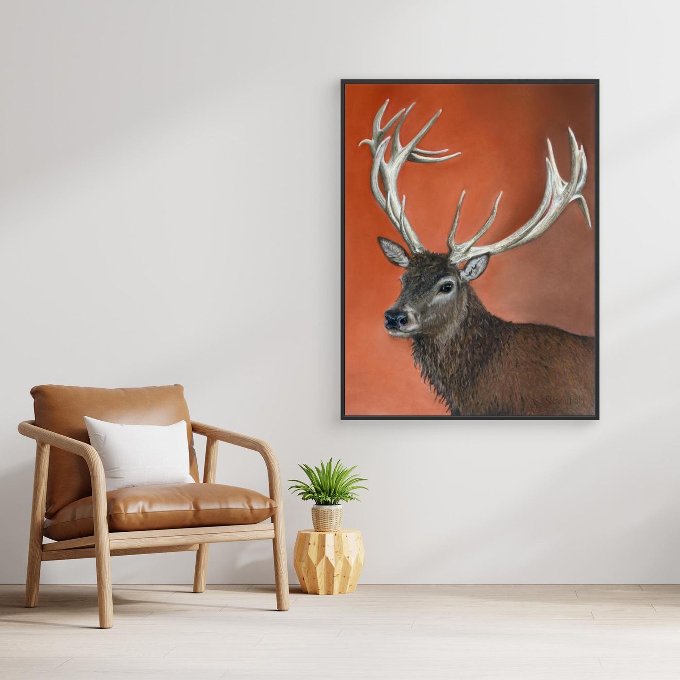 Red deer stag