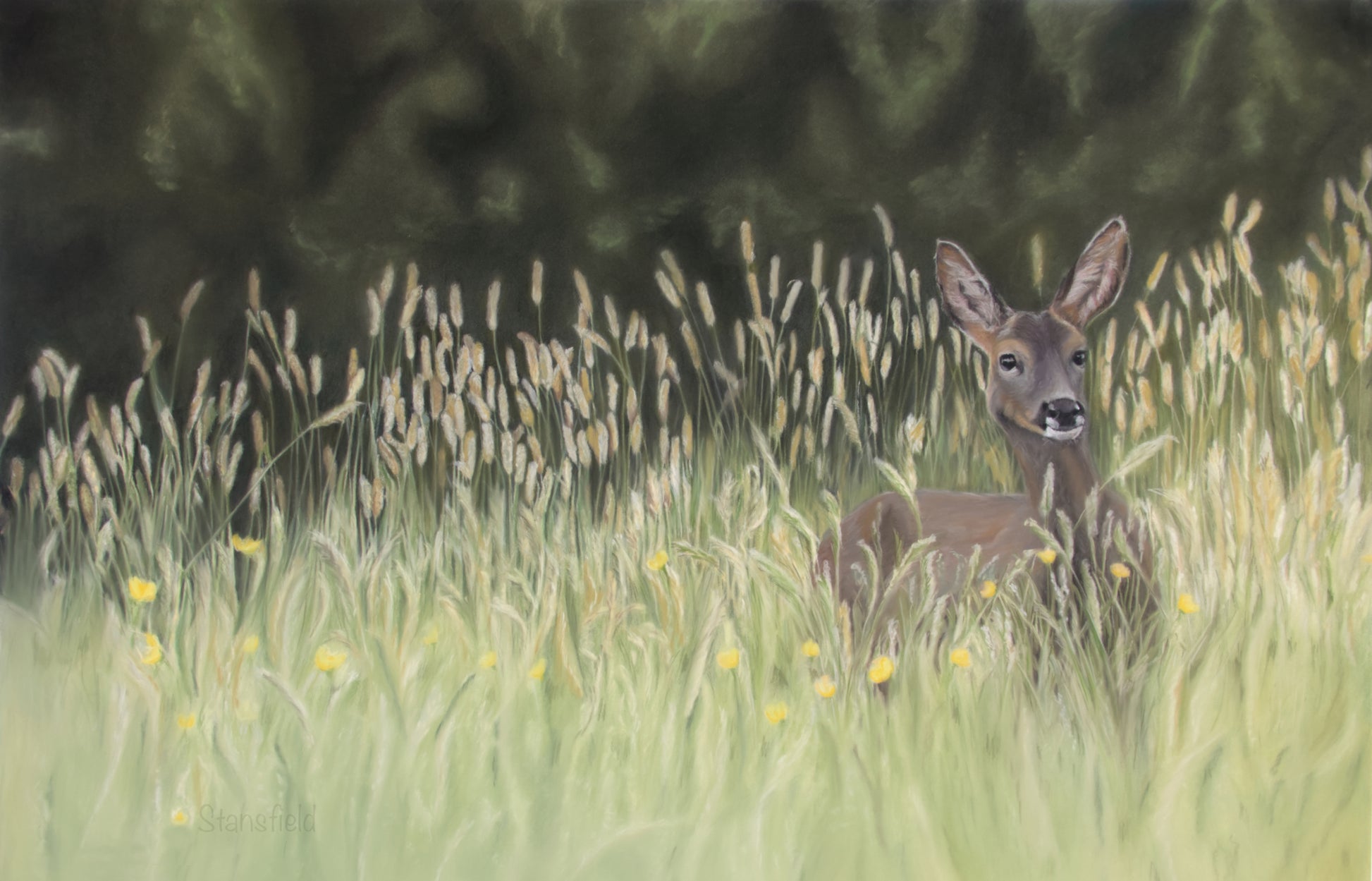 Deer in a grassy field with tall grass and trees in the background