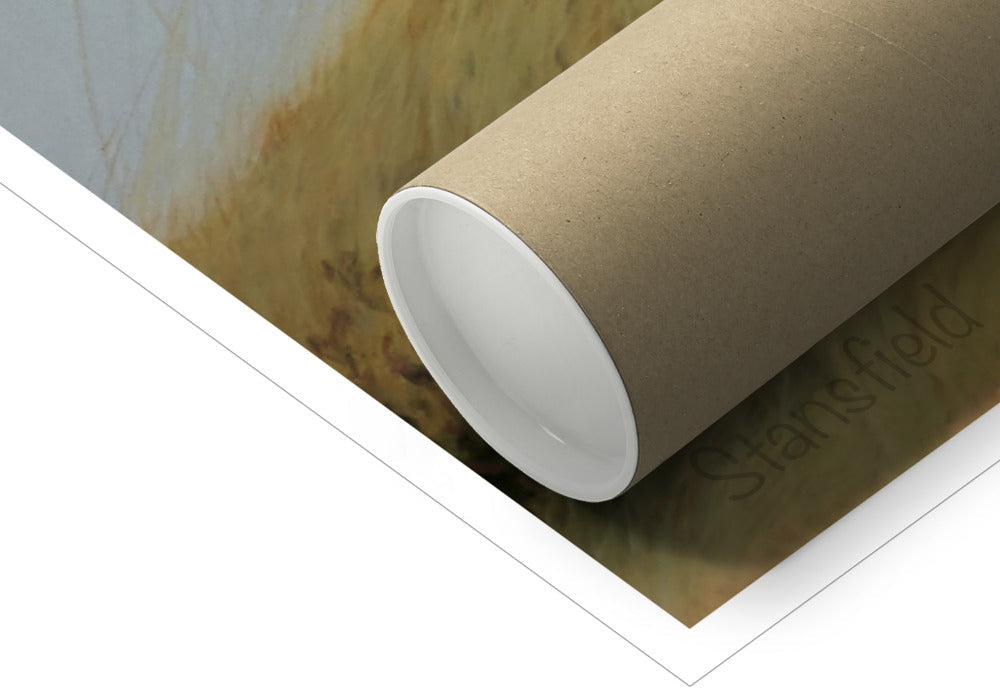 Tube for a rolled open edition print of a wild goat in nature Scotland