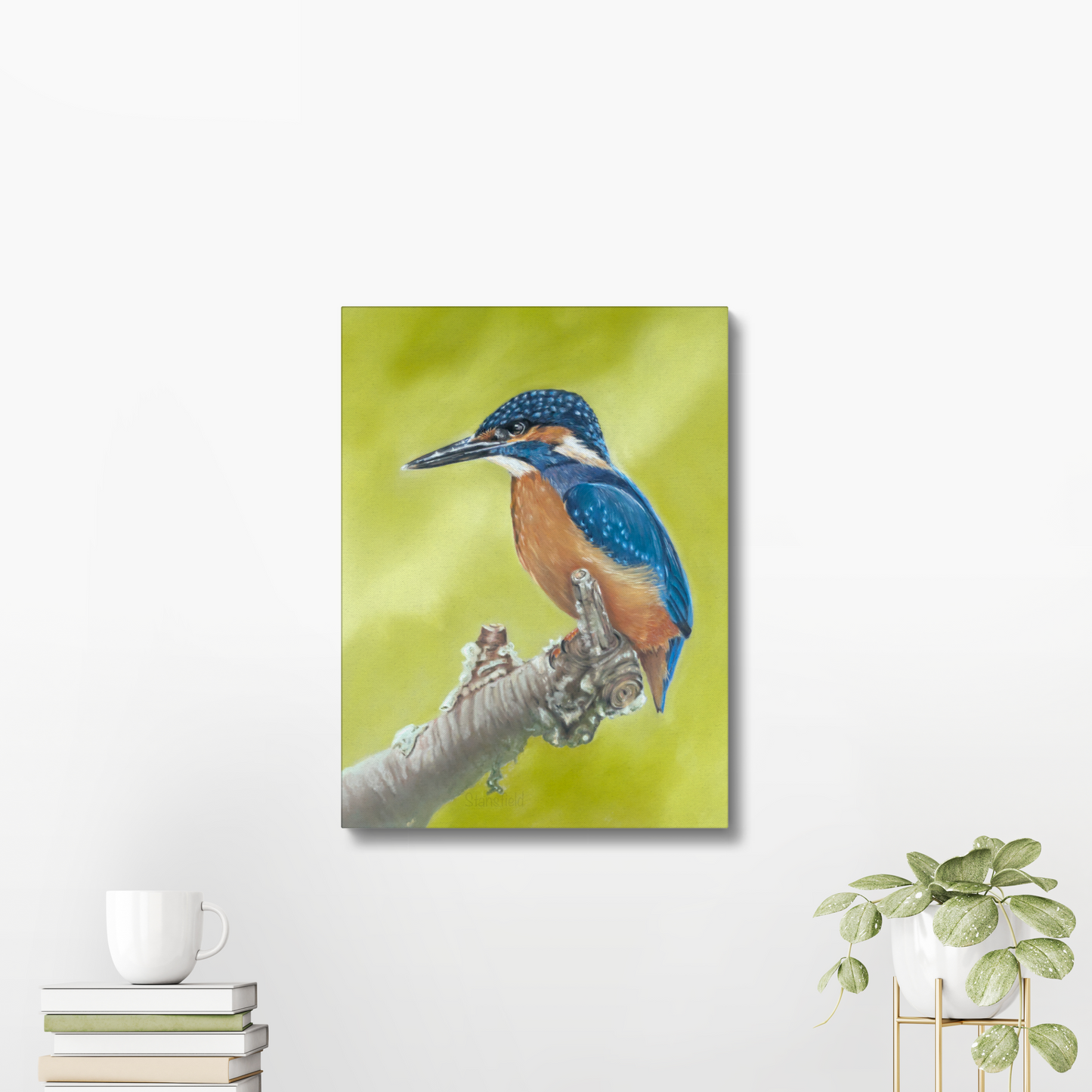 Kingfisher: A stretched canvas print of a colourful British bird