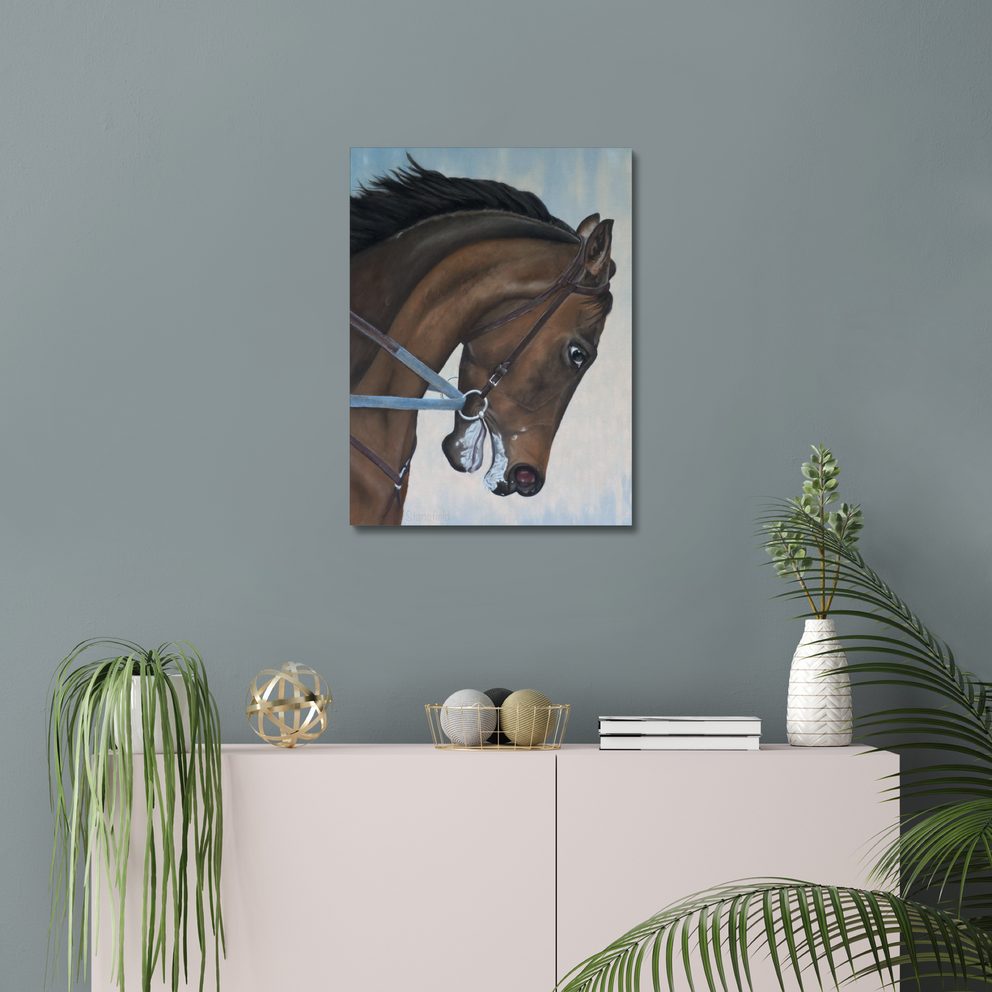 Morning gallop: Stretched canvas of a thoroughbred in training