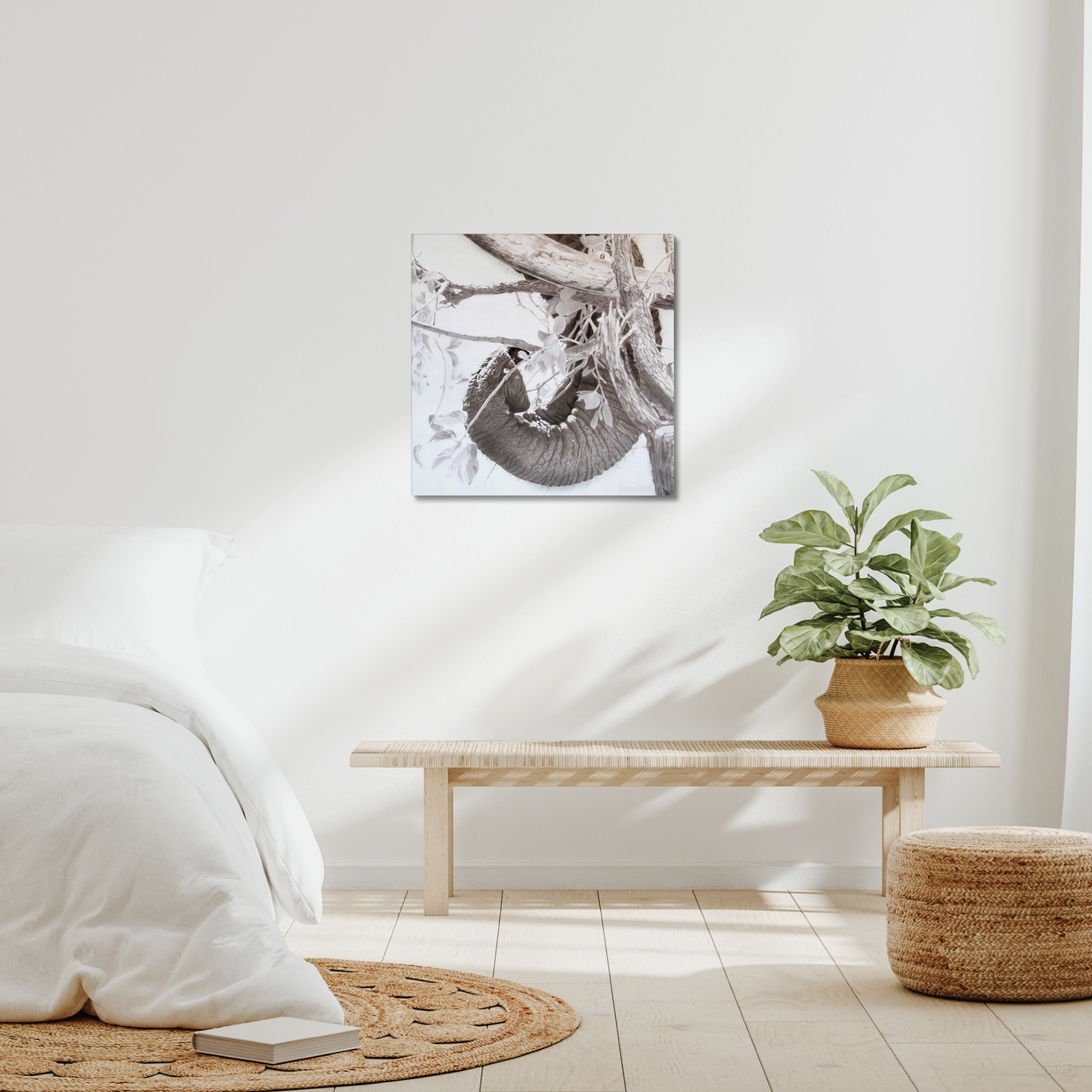 Elephant tusk, trunk, tree: a stretched canvas print of elephant dexterity