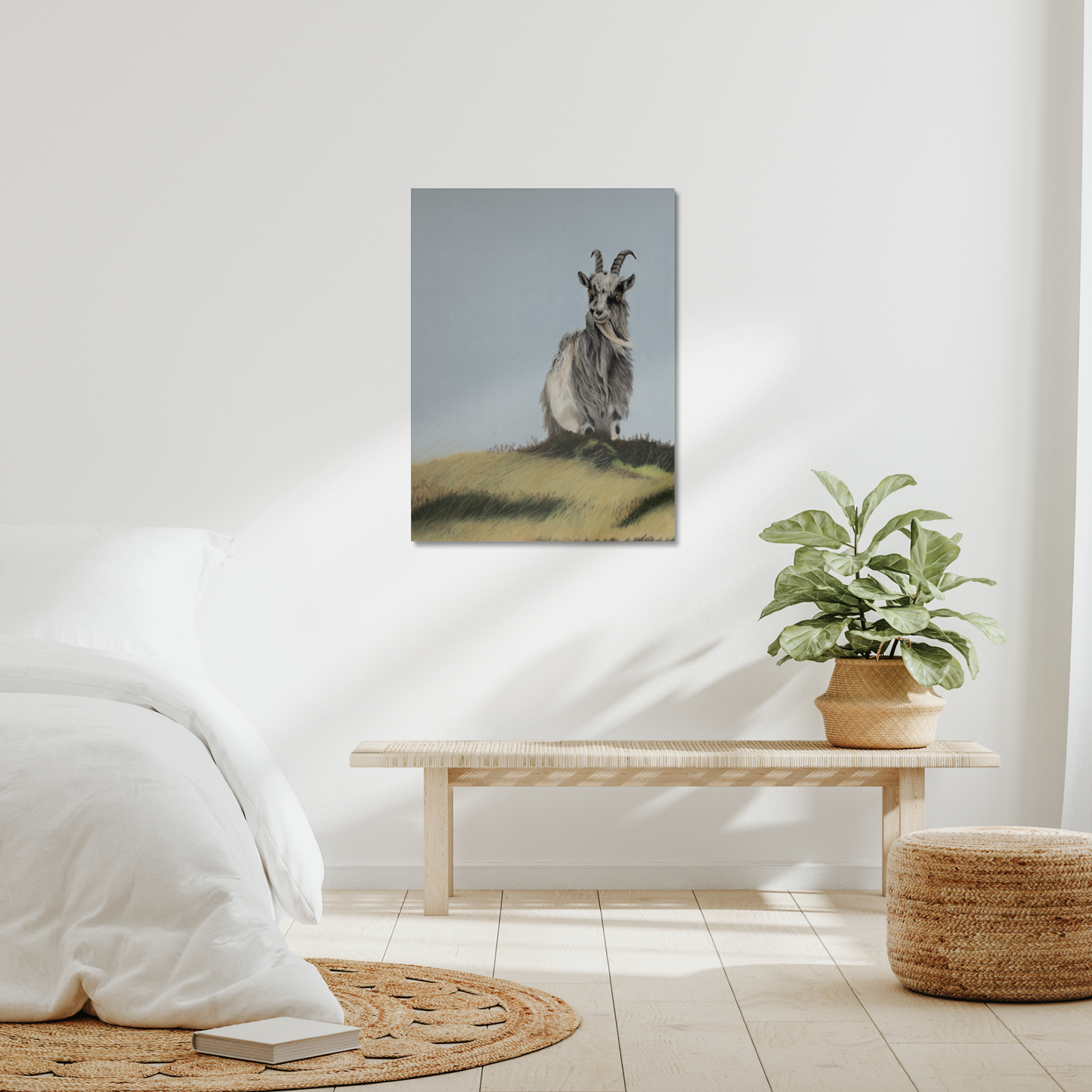 High on a hill - Scottish wild goat on a stretched canvas