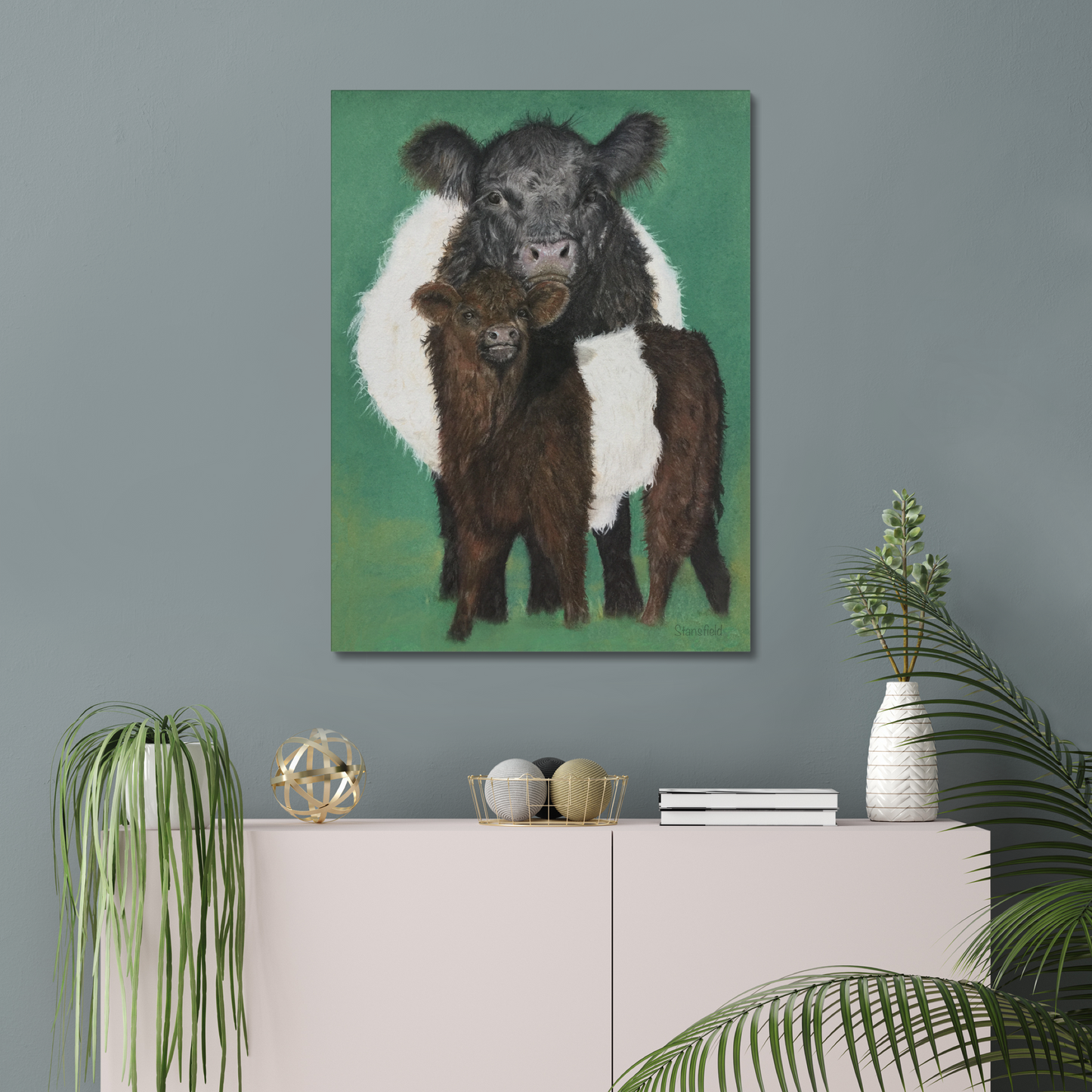 Belted Galloway cow and calf: a stretched canvas of the traditional cattle of Galloway, south-west Scotland