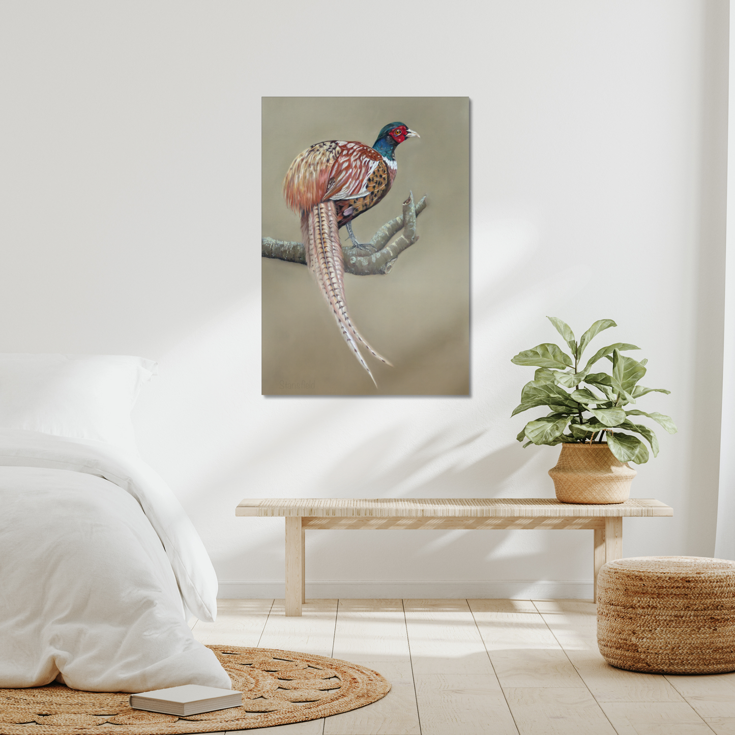 Male pheasant: a stretched canvas print of this gorgeously colourful bird