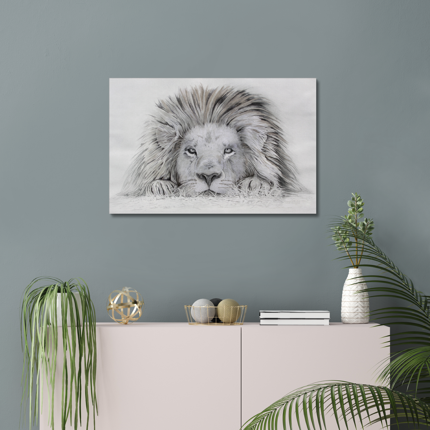Lion - I see you: a stretched canvas print of a lazy lion painting