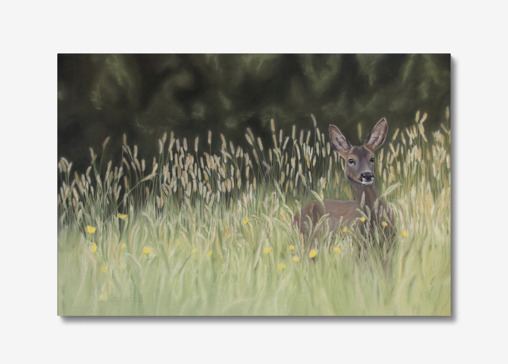 Deer in a grassy field with yellow flowers and trees in the background