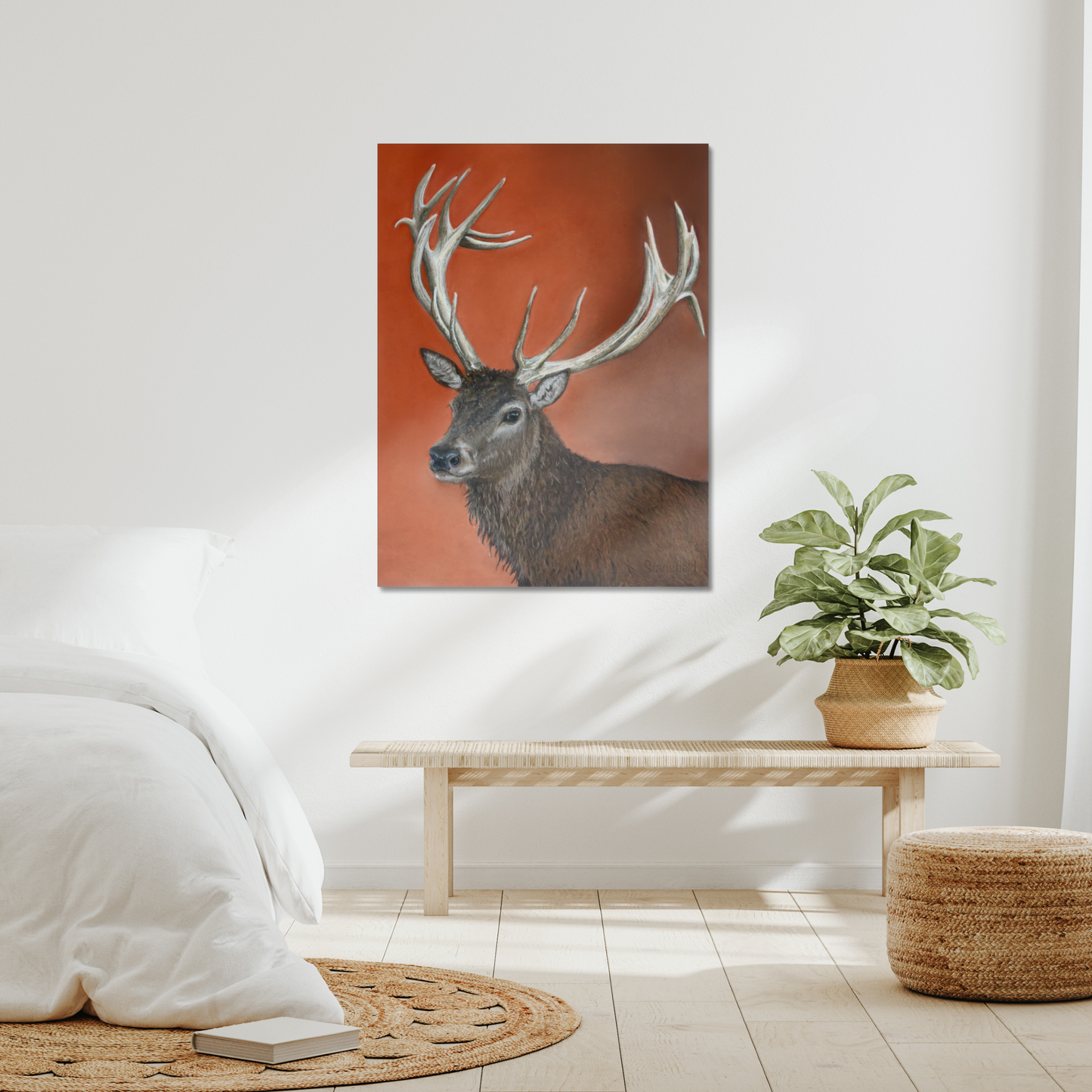 Red deer stag: a stretched canvas print of a majestic red stag deer