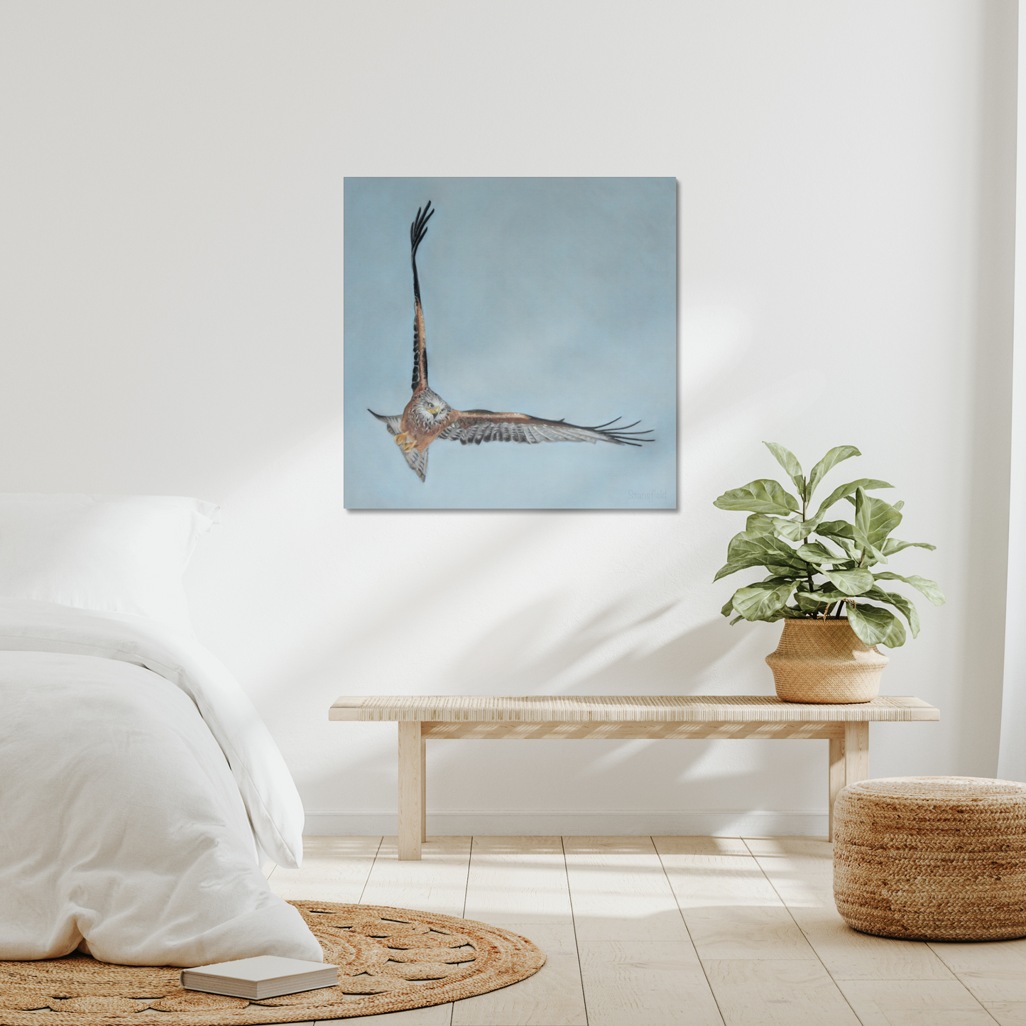 Red kite: A stretched canvas print of a high flying raptor