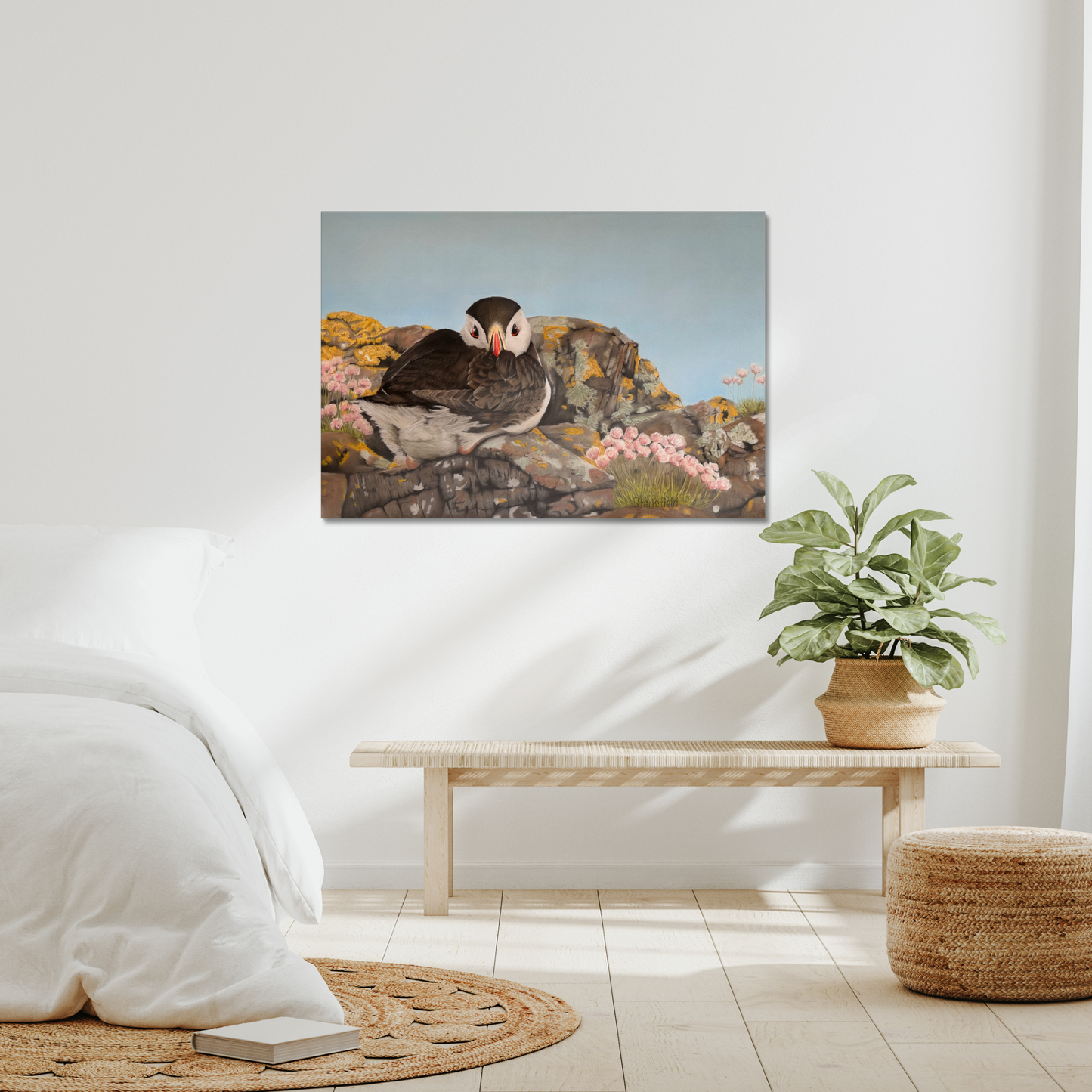 Puffin on the rocks: A stretched canvas print of a resting puffin