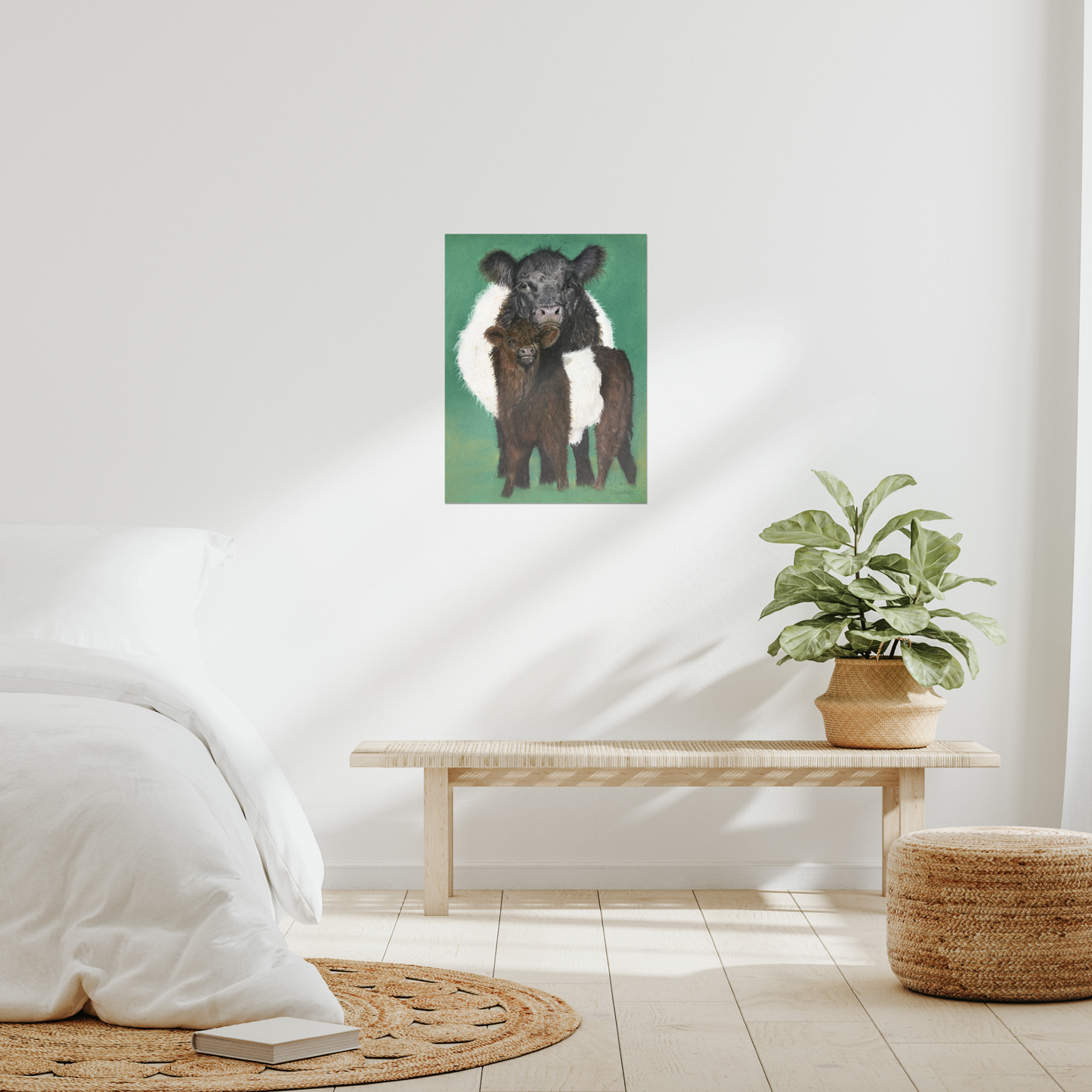 "Belted Galloway cow and calf" : an open edition print