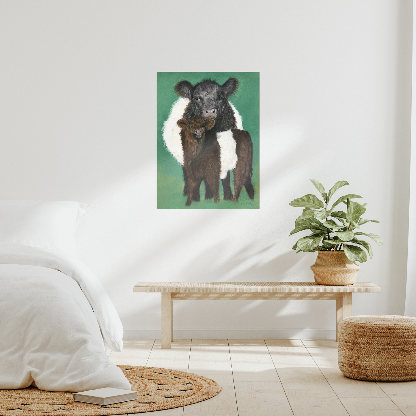 "Belted Galloway cow and calf" : an open edition print