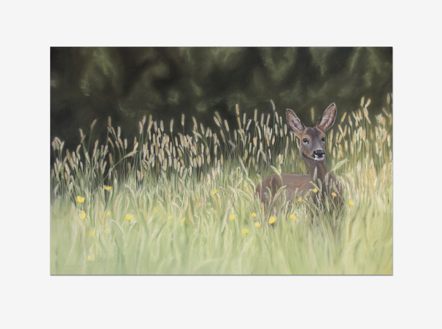 Roe deer in a grassy field with flowers and trees in the background