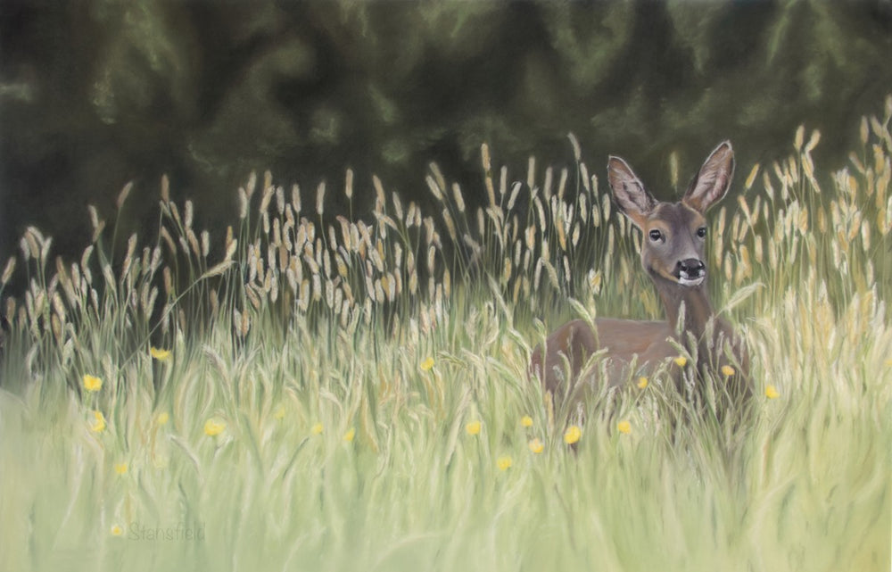 Roe deer doe half-hidden in a summer meadow with buttercups – wildlife art print by Fiona Stansfield