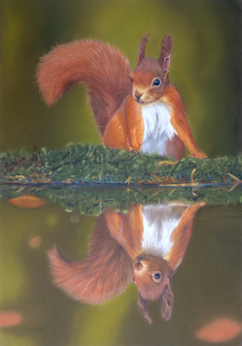 Red squirrel perched on a mossy bank perfectly reflected in still water – wildlife art print by Fiona Stansfield