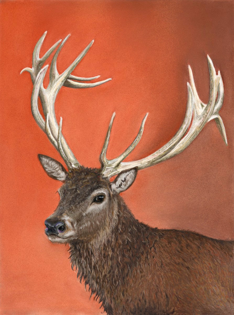 Red deer stag with broad antlers against a warm terracotta background – wildlife art print by Fiona Stansfield