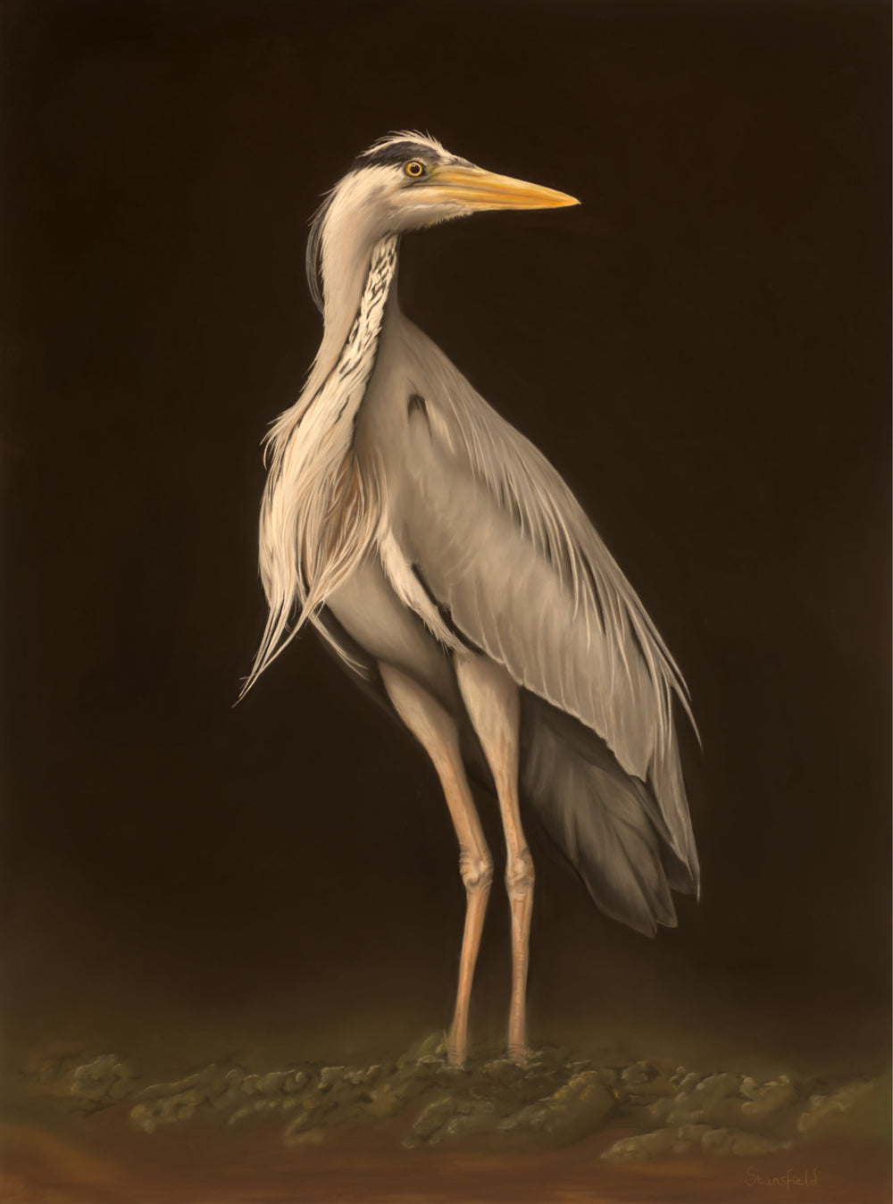 Keeper of the Quiet Shore