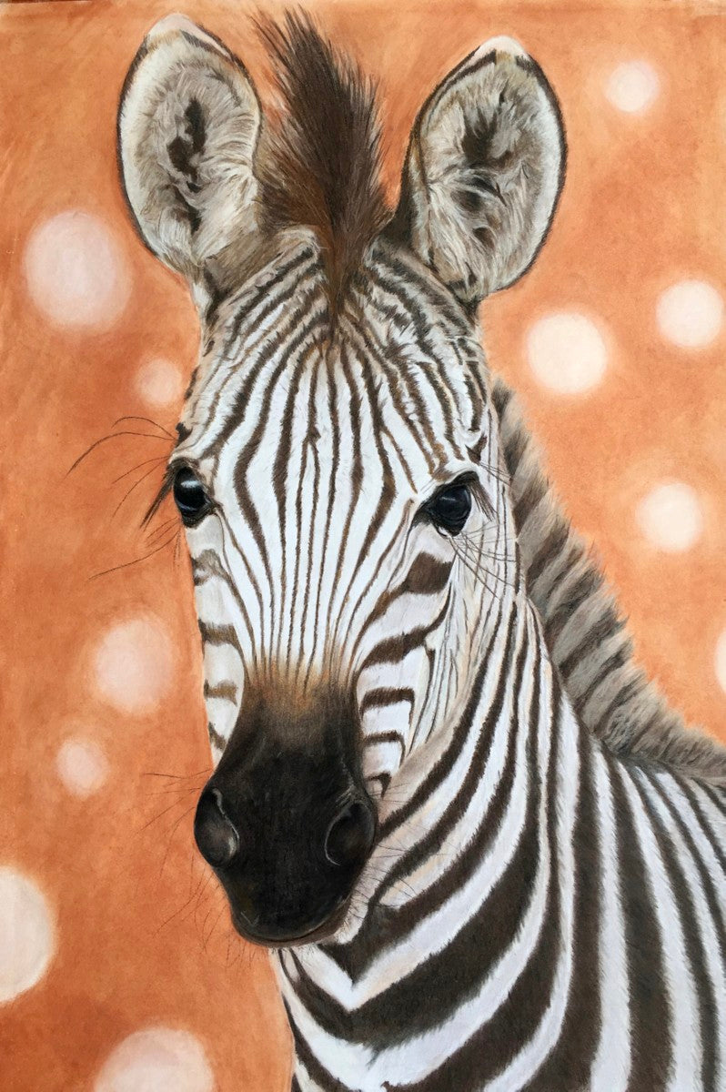 portrait of a curious zebra foal on a bokeh terracotta background 