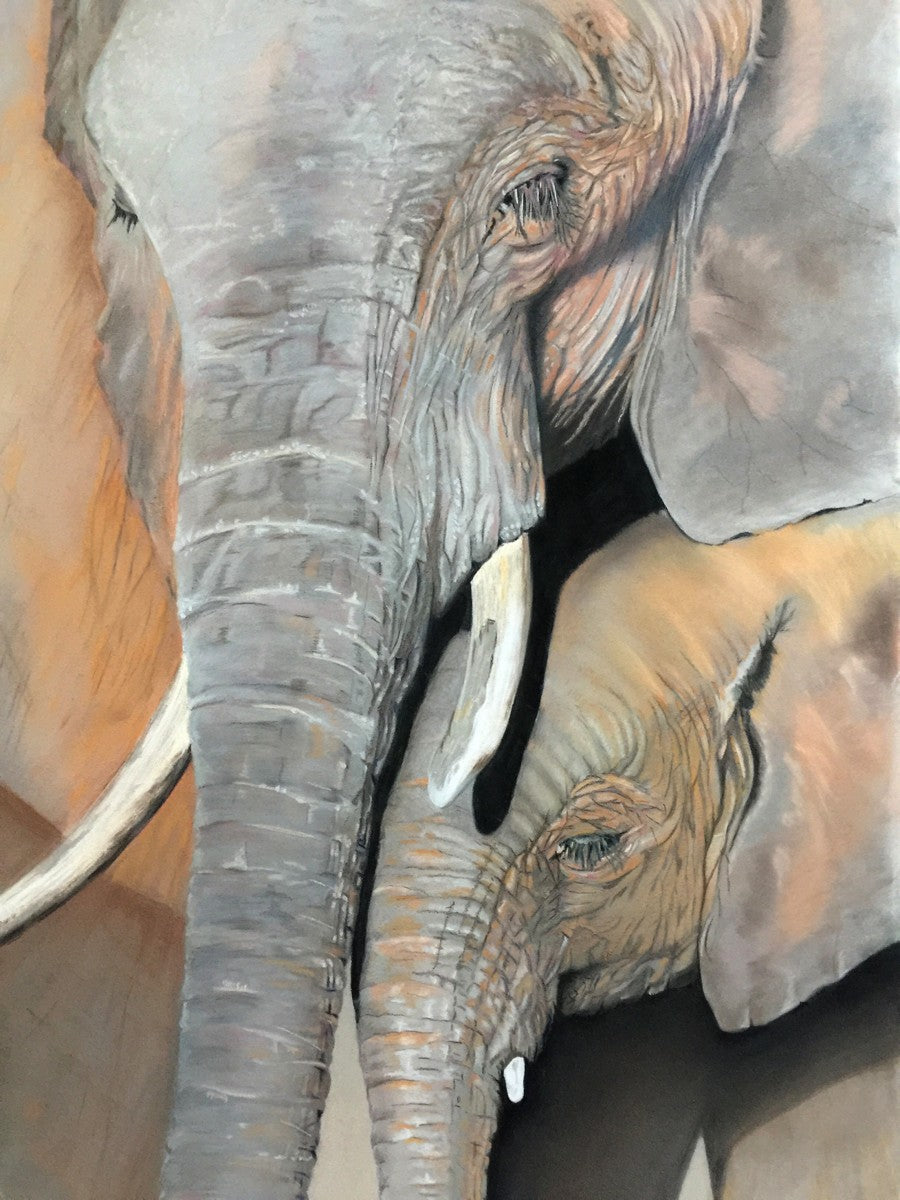 A watchful elephant cow being protective over her calf