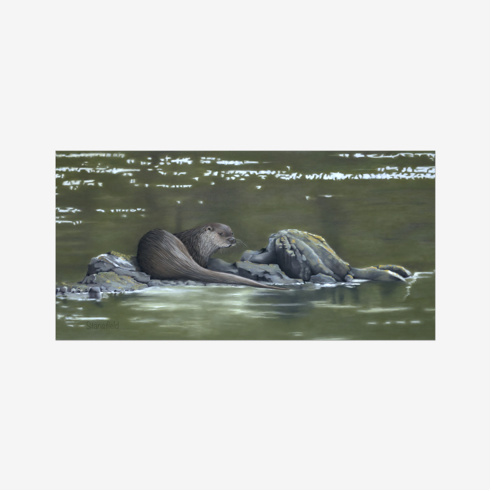 European otter resting on a rocky outcrop reflected in still water – wildlife art print by Fiona Stansfield