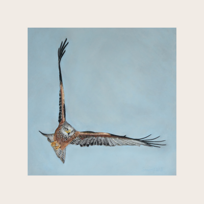 Red Kite: Greetings card