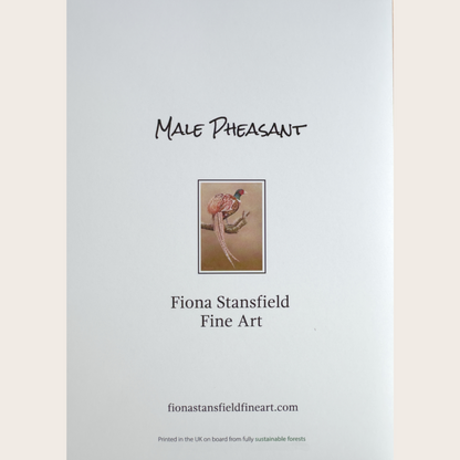 Male Pheasant: Greetings card