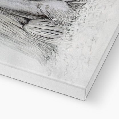 Lion - I see you: a stretched canvas print of a lazy lion painting