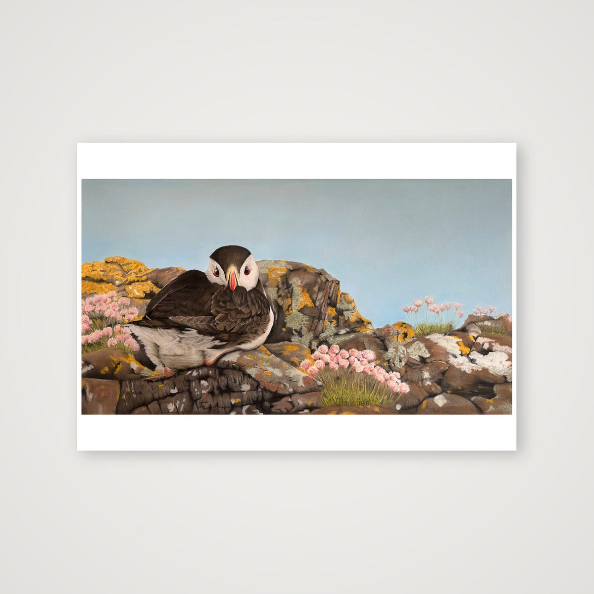 Puffin on the rocks - an open edition print — 100×70cm, 39×28" Print only
