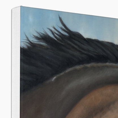 Morning gallop: Stretched canvas of a thoroughbred in training