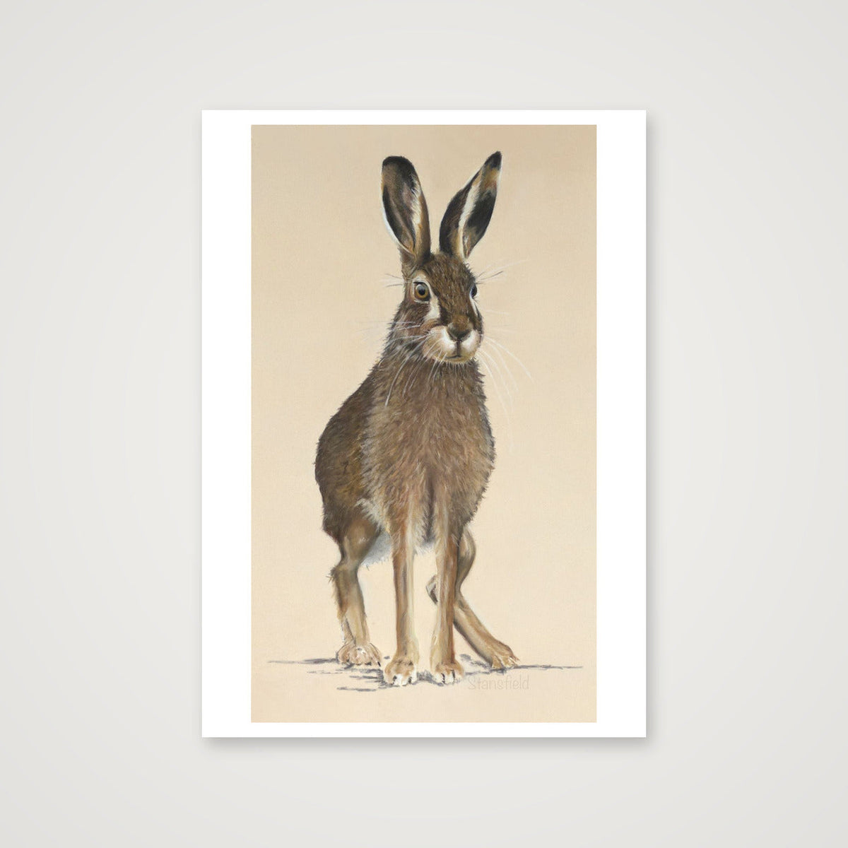 6  m hare increased background with tight dig sig — A4 (21×30cm, 8×12") Print only