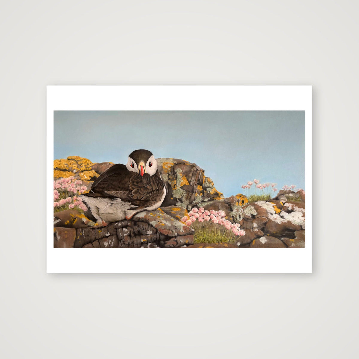 Puffin on the rocks - an open edition print — A4 (30×21cm, 12×8") Print only