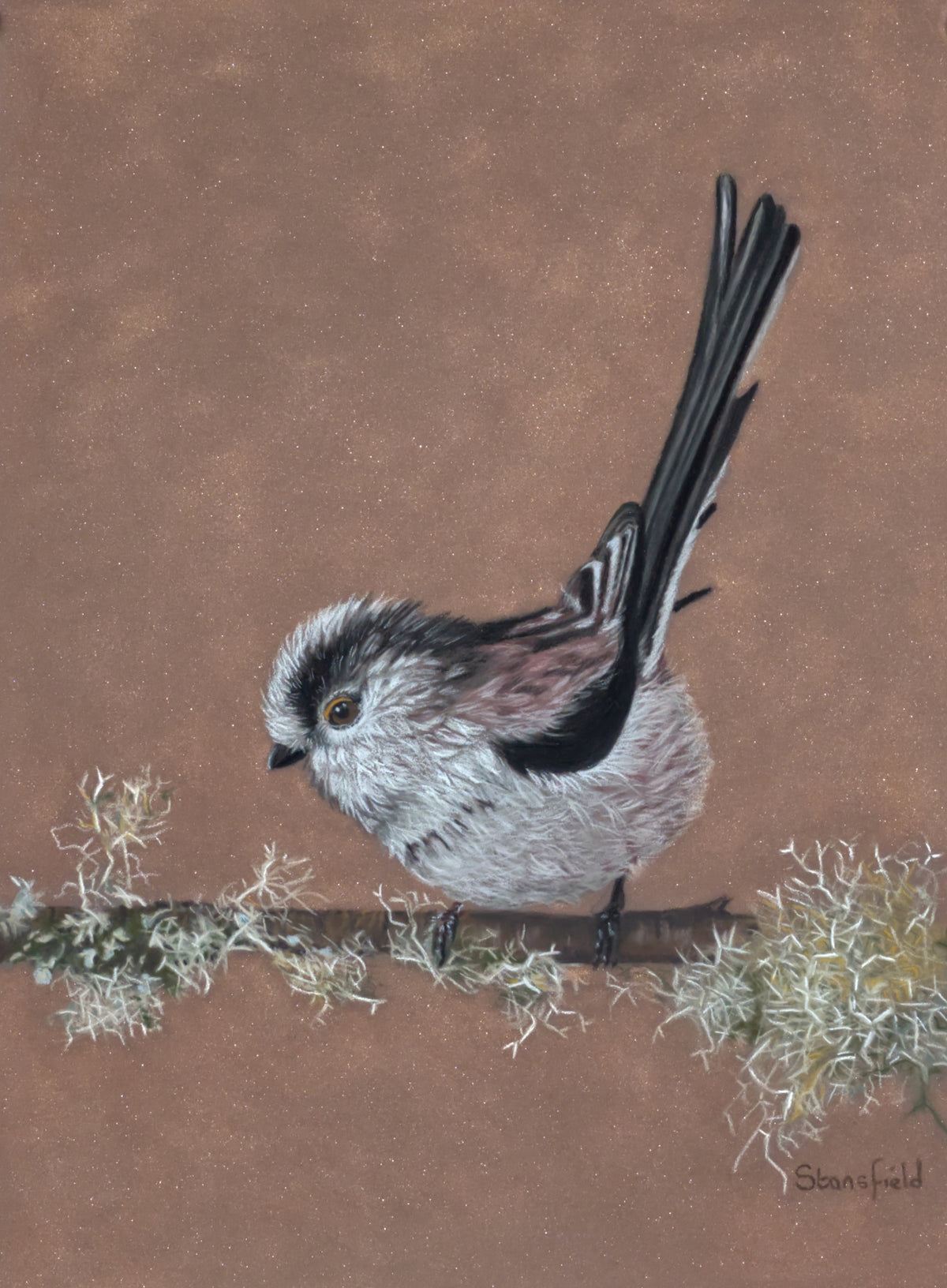 Long-tailed tit Lichen British bird original artwork