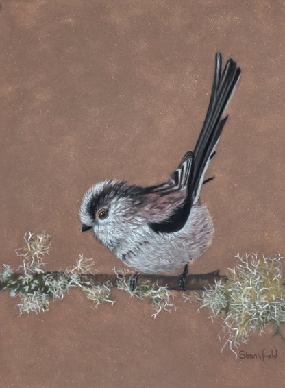Long tailed tit - lichen: an original pastel painting