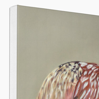 Male pheasant: a stretched canvas print of this gorgeously colourful bird