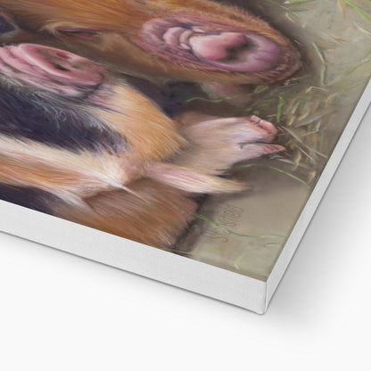 Four little piggies: A stretched canvas print of four cute piglets